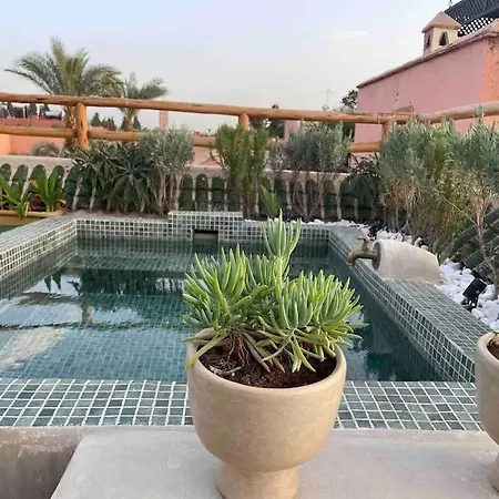 Riad Ptit Kech, Bassin Terrasse - Petits Dejeuners Marrakesh Exterior photo